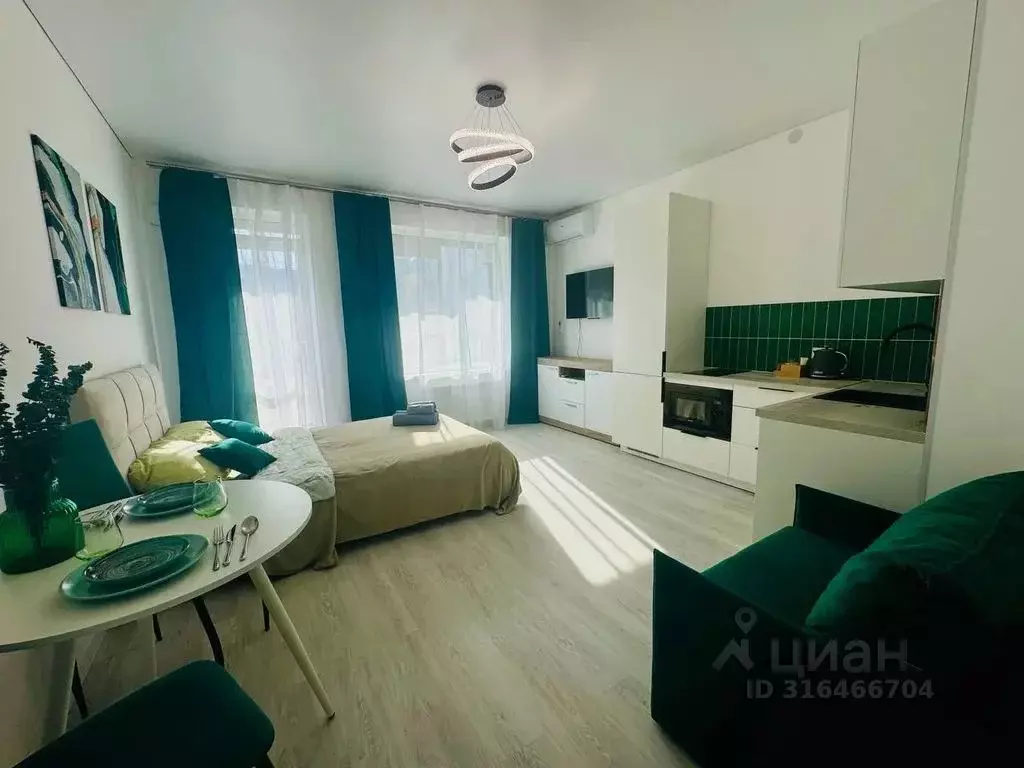 Студия Санкт-Петербург ул. Струве, 12к1 (25.0 м) - Фото 0