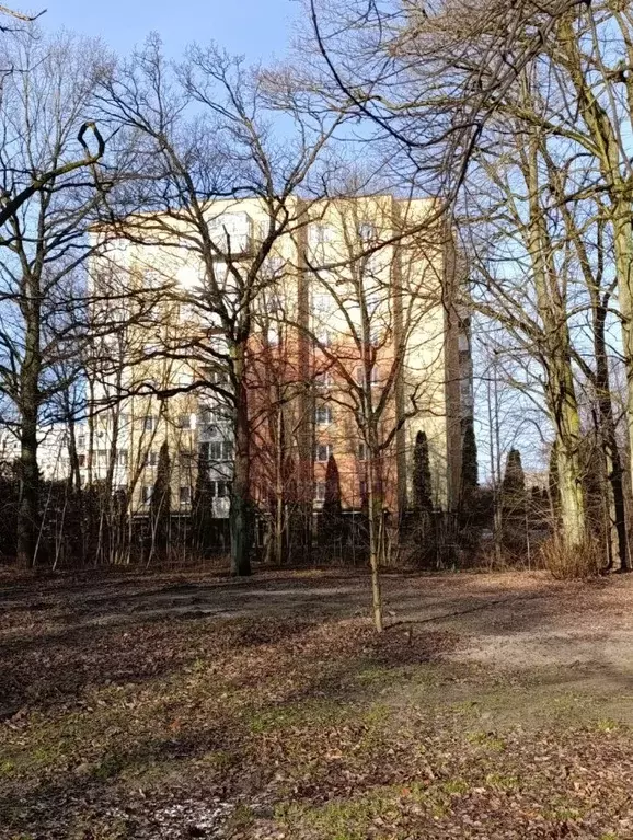 1-к кв. Калининградская область, Калининград Ясная ул., 17 (46.6 м) - Фото 2