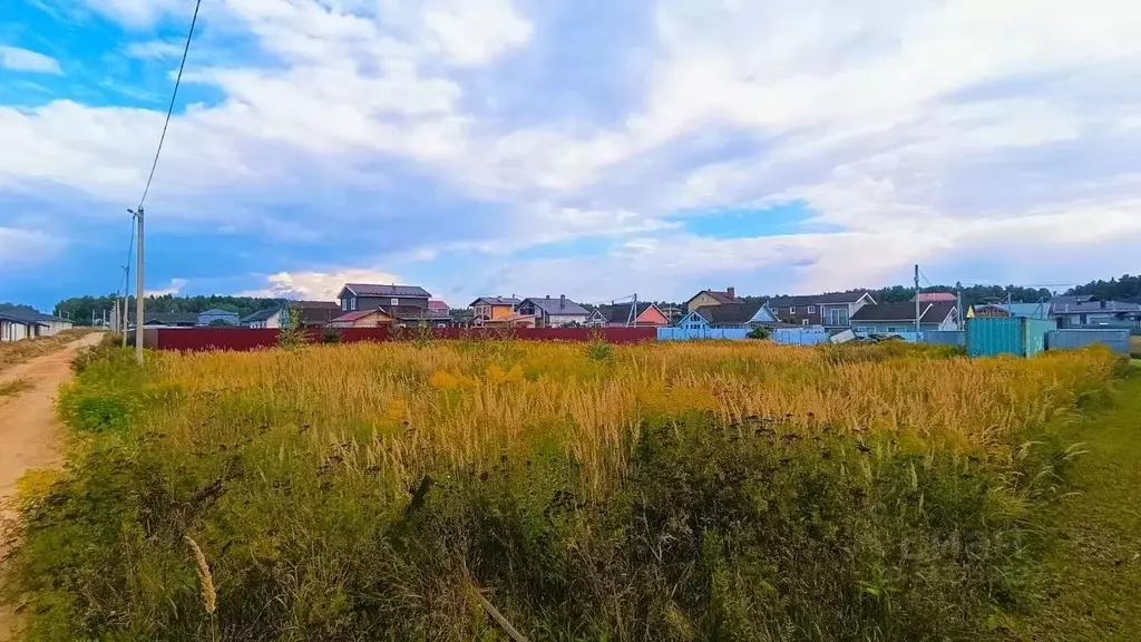 Участок в Московская область, Пушкинский городской округ, Дарьино ... - Фото 2