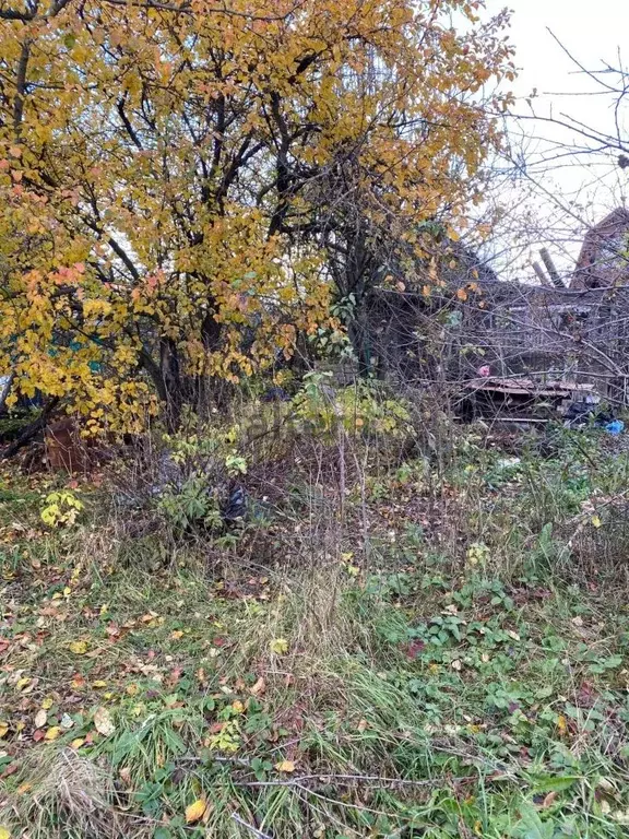 Участок в Татарстан, Казань Казмелькомбинат № 3 СНТ, 30 (6.0 сот.) - Фото 2