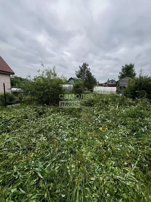 Участок в Ленинградская область, Тосненское городское поселение, ... - Фото 1