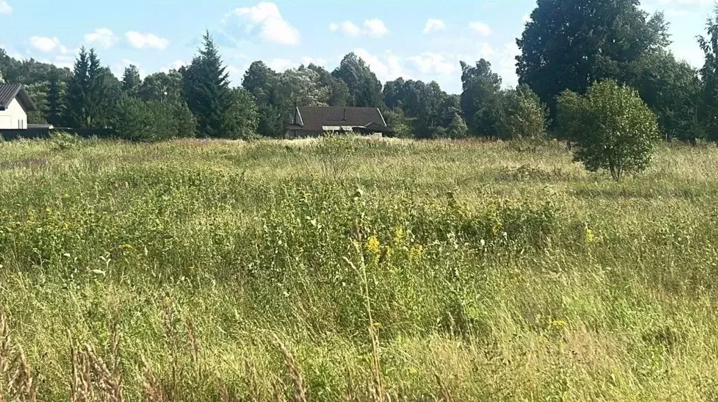 Участок в Московская область, Ступино городской округ, д. Торбеево  ... - Фото 1