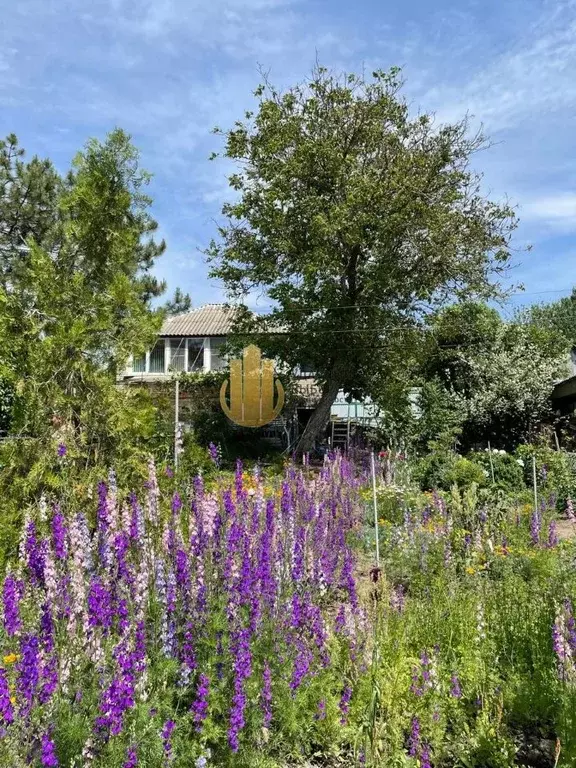 Дом в Ростовская область, Белокалитвинское городское поселение, Нива ... - Фото 2