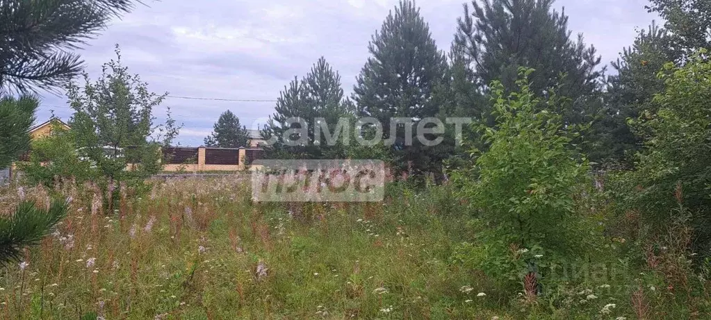 Участок в Тюменская область, Тюменский муниципальный округ, д. Елань ... - Фото 1