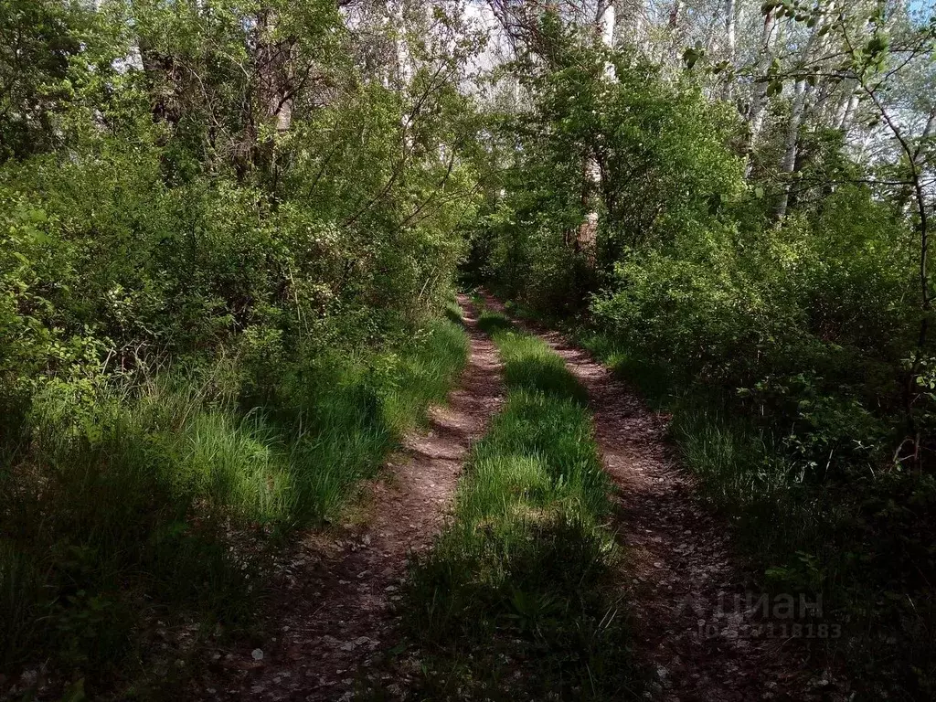 Участок в Саратовская область, Энгельсский район, Красноярское ... - Фото 0