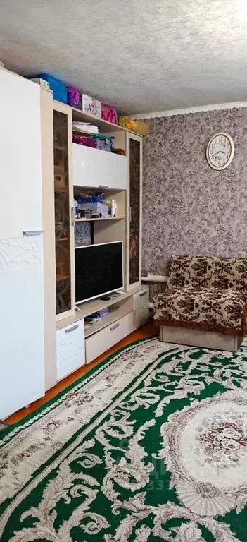 Дом в Новосибирская область, Черепаново Красноармейский пер., 4 (48 м) - Фото 2