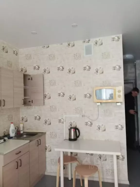 Студия Новосибирская область, Новосибирск Весенний мкр, ул. Заречная, ... - Фото 1