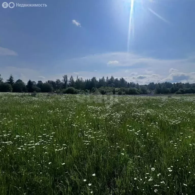 Участок в Пермский край, Добрянский муниципальный округ, село Висим ... - Фото 2