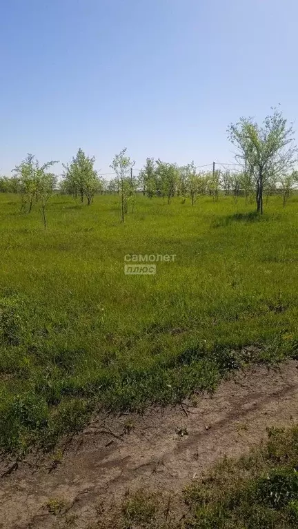 Участок в Саратовская область, Энгельсский район, Красноярское ... - Фото 0