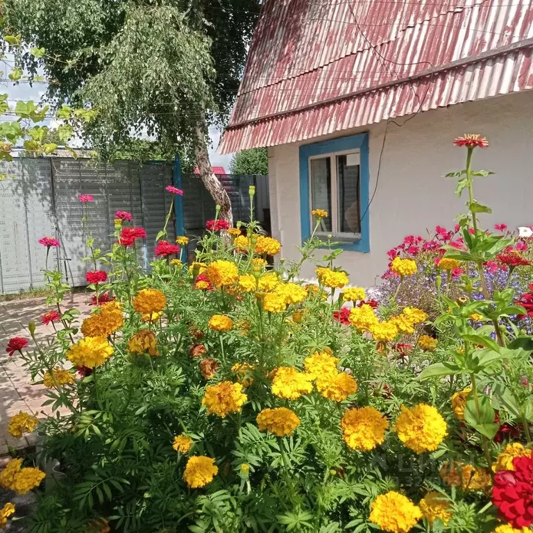 Дом в Кемеровская область, Кемеровский район, Зенит СДТ  (44 м) - Фото 1