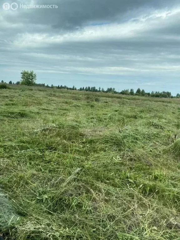 Участок в Кострома, Счастливая улица (11.77 м) - Фото 1