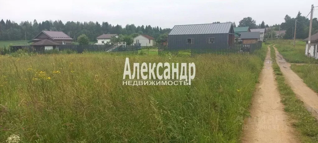 Участок в Ленинградская область, Волосовский район, Клопицкое с/пос, ... - Фото 2