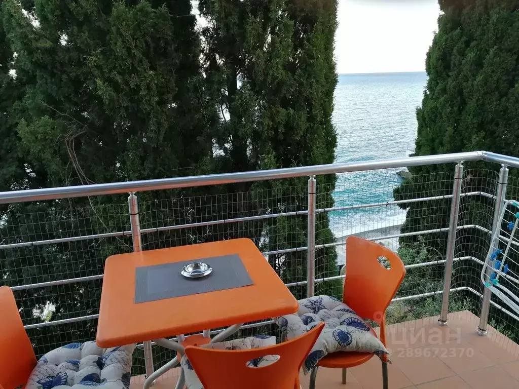 2-к кв. Крым, Ялта ул. Дражинского, 27 (30.0 м) - Фото 2