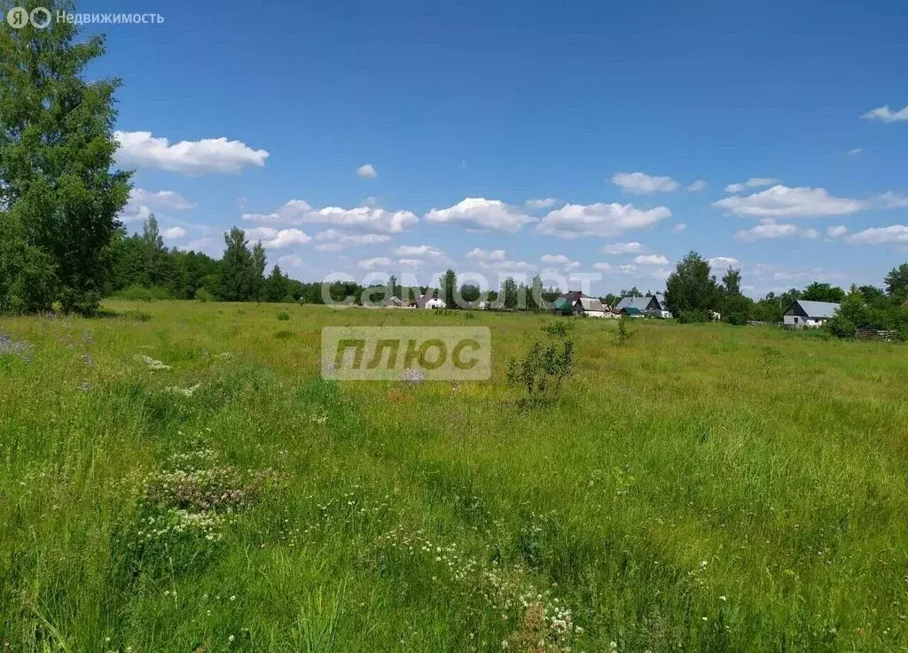 Участок в село Большой Хомутец, Лесная улица, 55 (14 м) - Фото 1