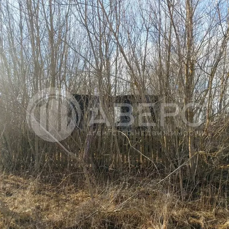 Дом 29,5 м на участке 14 сот. - Фото 0