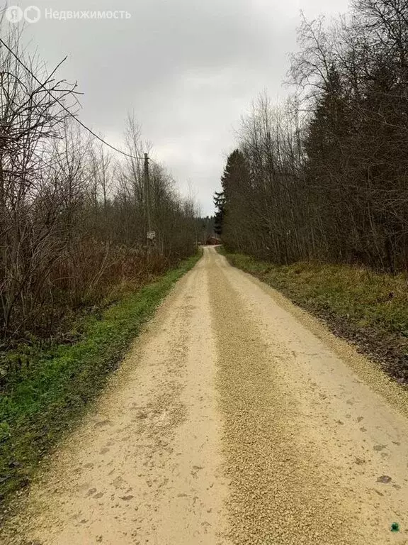 Участок в Ленинградская область, Гатчинский муниципальный округ, СНТ ... - Фото 1
