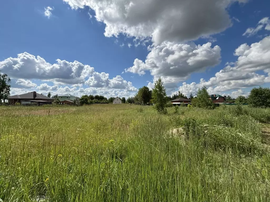 Участок в Московская область, Луховицы ул. Тенистая (4.0 сот.) - Фото 2
