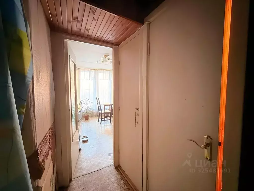 1-к кв. Санкт-Петербург просп. Луначарского, 23 (36.3 м) - Фото 2