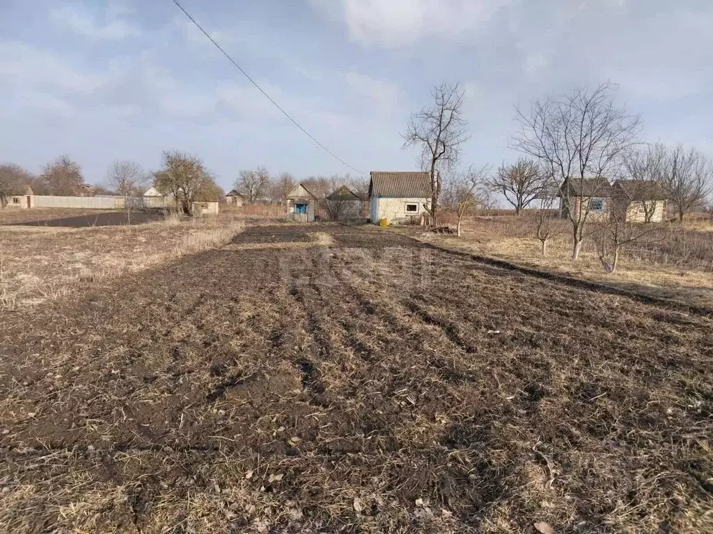 Участок в Брянская область, Брянский район, Мичуринское с/пос, ... - Фото 1