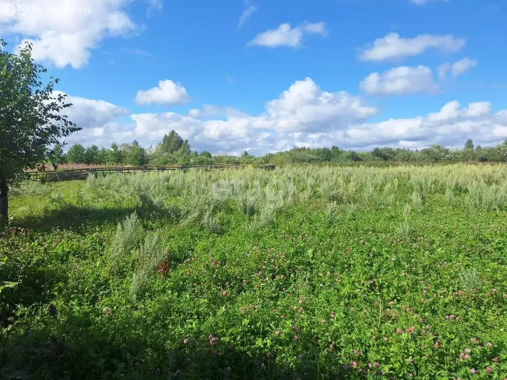 Участок в посёлок Заря, Заринская улица (10.3 м) - Фото 1