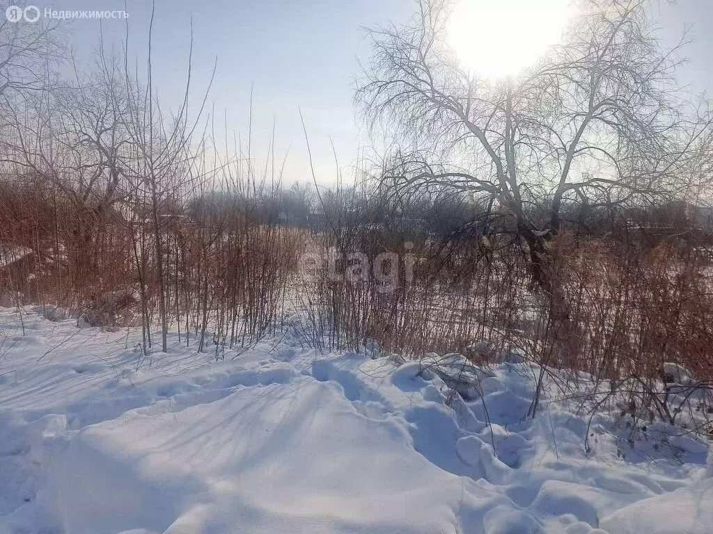 Участок в Благовещенск, посёлок Моховая Падь (8.1 м) - Фото 0