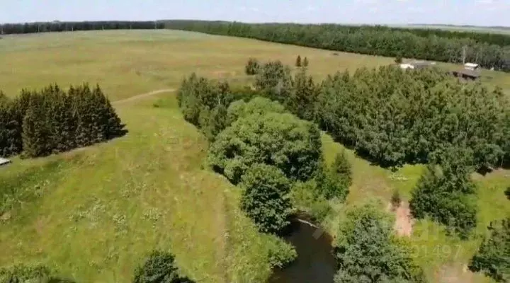 Участок в Татарстан, Арский район, Янга-Салское с/пос, д. Каенсар  ... - Фото 1