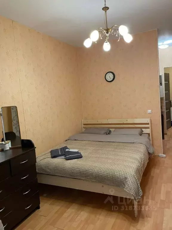 Студия Санкт-Петербург просп. Просвещения, 43 (30.0 м) - Фото 0