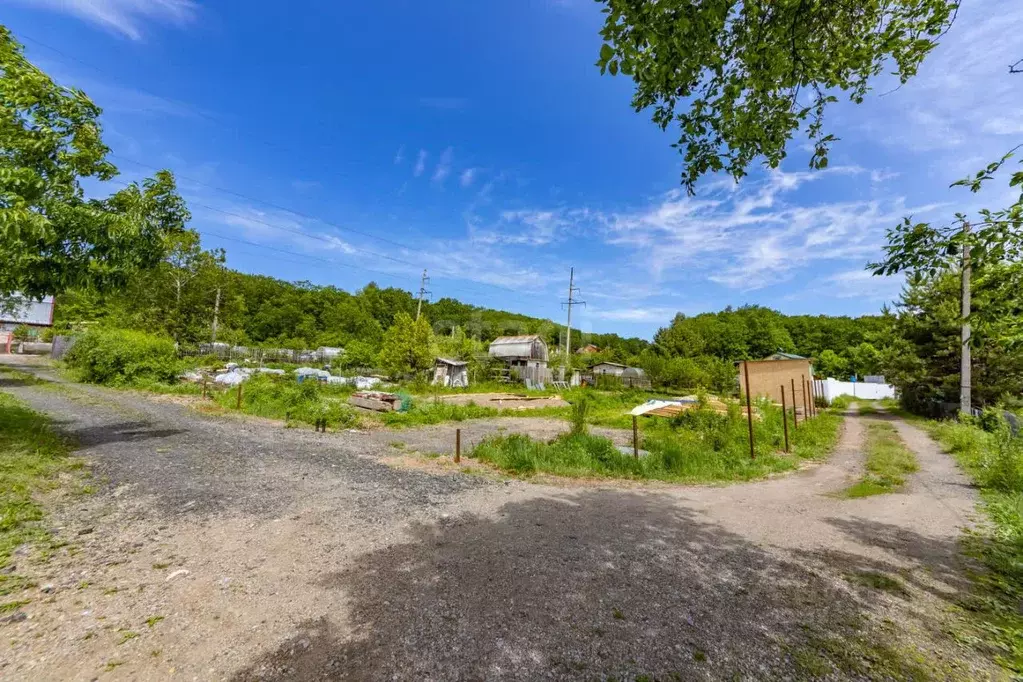 Участок в Хабаровский край, Хабаровский район, Мичуринское с/пос, с. ... - Фото 2