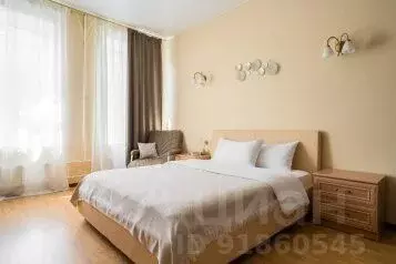 1-к кв. Санкт-Петербург пер. Басков, 17 (45.0 м) - Фото 0