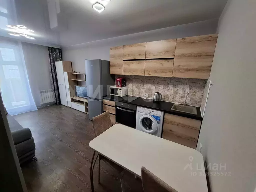 Студия Новосибирская область, Новосибирск ул. Забалуева, 90 (24.0 м) - Фото 1