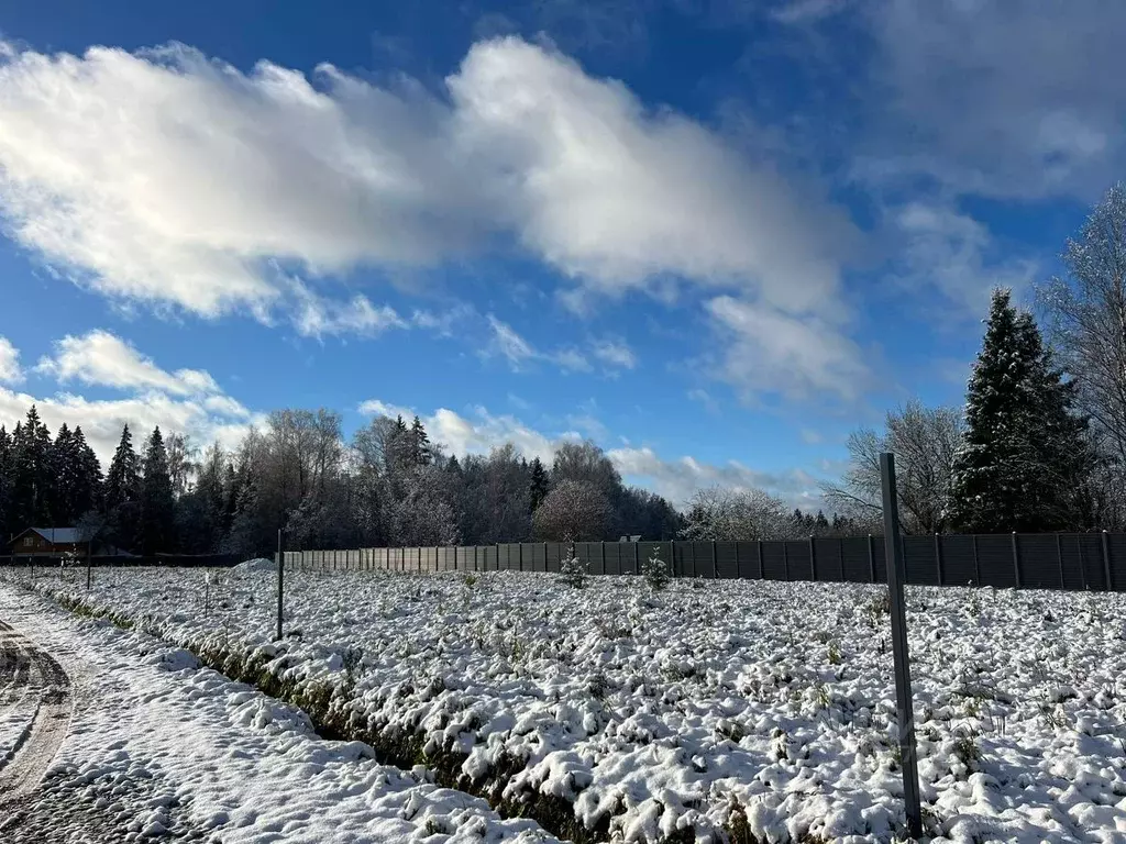 Участок в Московская область, Солнечногорск городской округ, д. ... - Фото 1