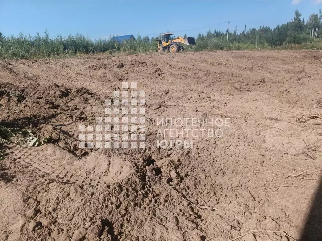 Участок в Ханты-Мансийский АО, Ханты-Мансийск Бытовик СОТ, 80 (10.0 ... - Фото 2