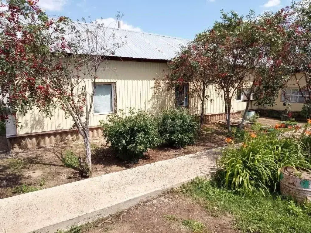 Дом в Оренбургская область, Новосергиевский район, Платовский ... - Фото 1