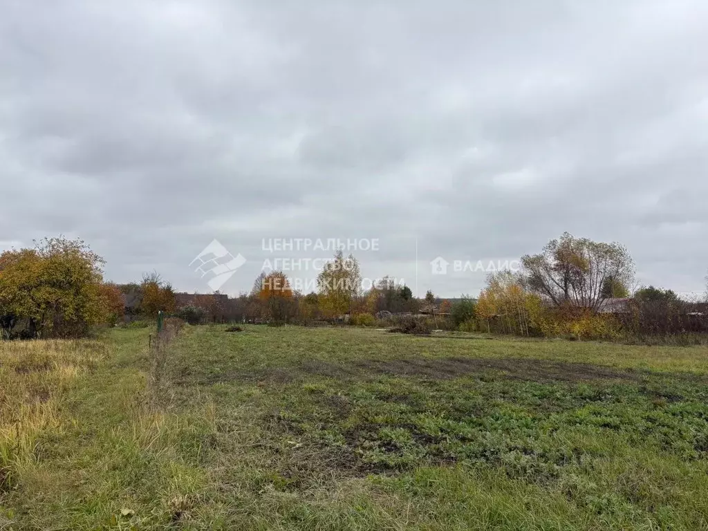 Участок в Рязанская область, Рязанский муниципальный округ, д. ... - Фото 1