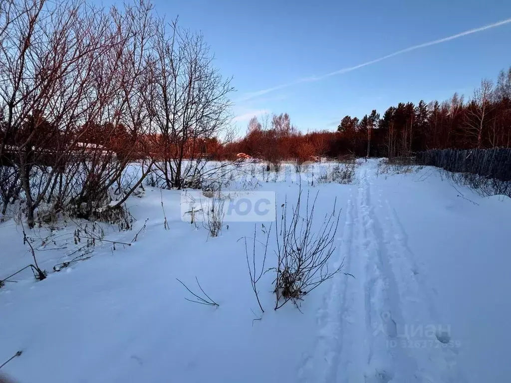 Участок в Челябинская область, Златоуст ул. Имени Клары Цеткин, 21 ... - Фото 2