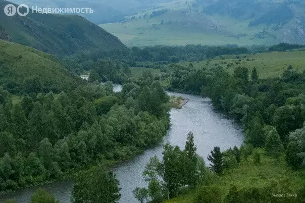 Участок в Краснощёковский район, Чинетинский сельсовет, село Чинета ... - Фото 1