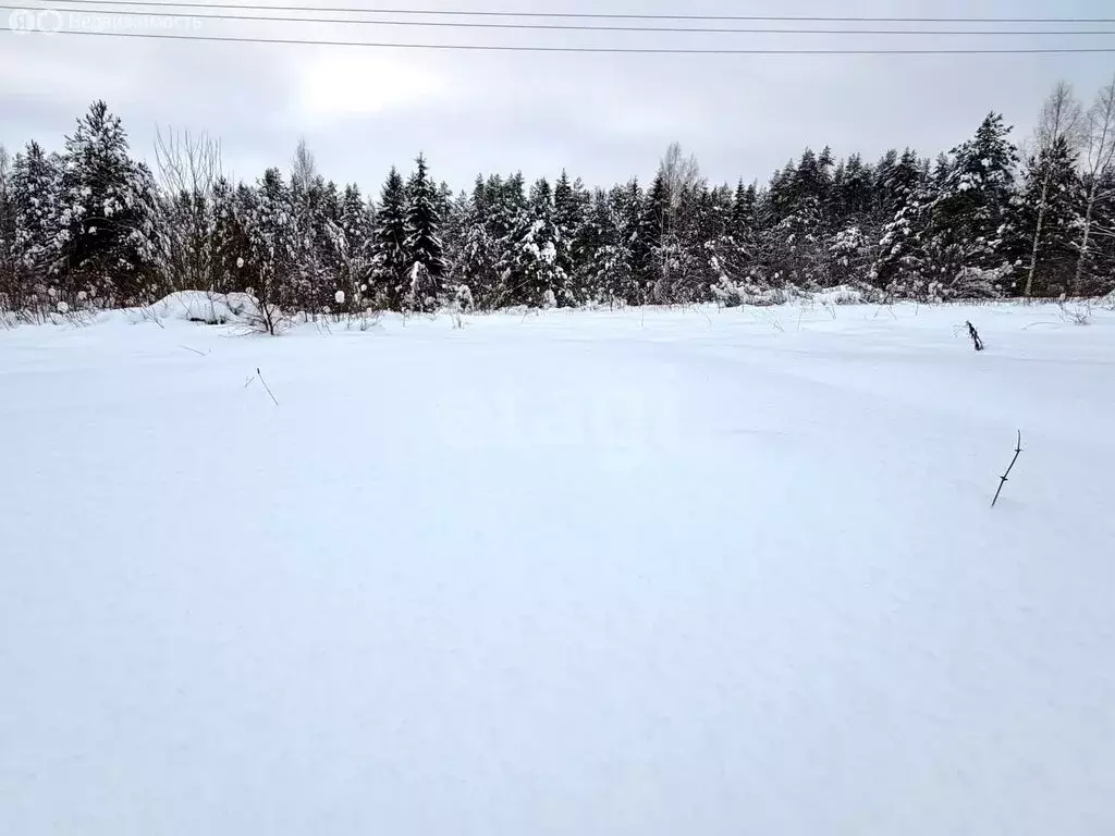 Участок в Неболчское сельское поселение, деревня Ставичёк (18.9 м) - Фото 2