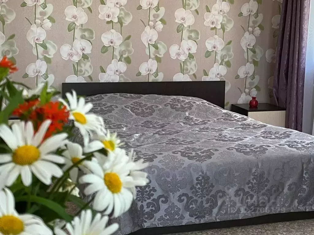 1-к кв. Владимирская область, Суздаль Советская ул., 9 (32.0 м) - Фото 2