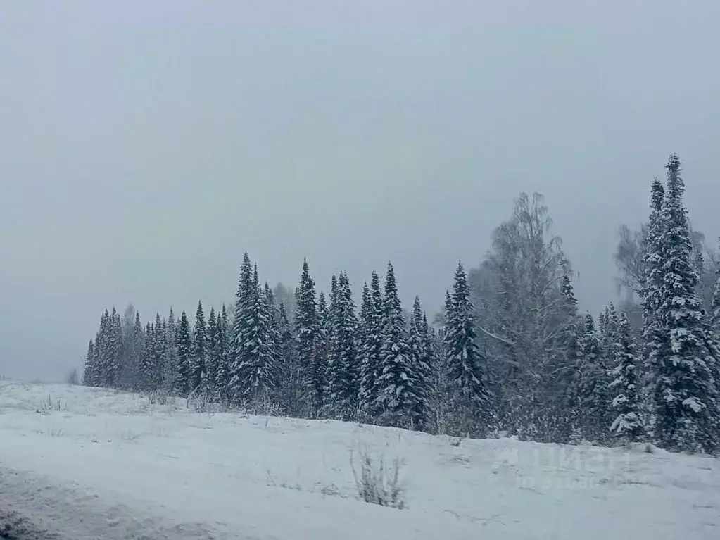 Участок в Кемеровская область, Таштагол ул. Крупской (15.0 сот.) - Фото 0