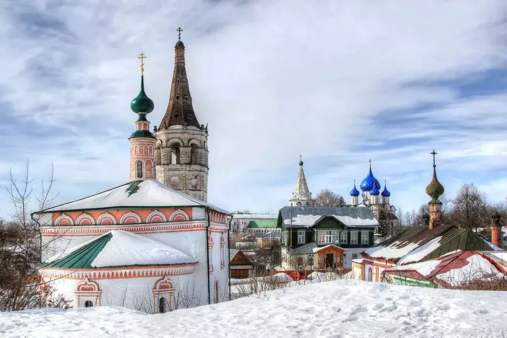 3-к кв. Владимирская область, Суздальский район, Селецкое ... - Фото 1