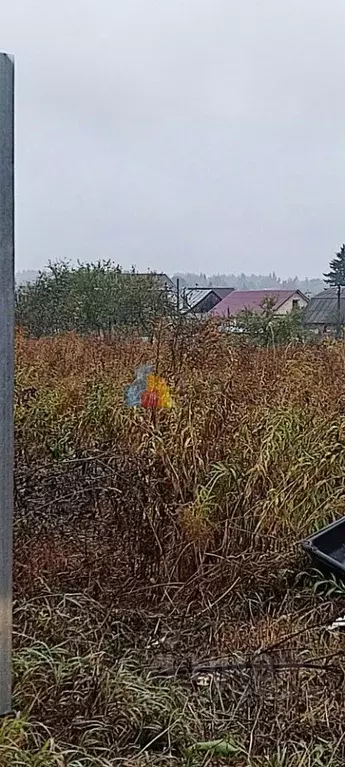 Участок в Тульская область, Тула городской округ, д. Петелино  (10.0 ... - Фото 1