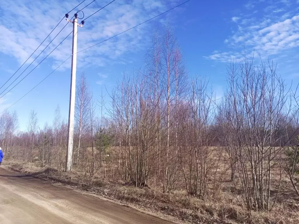 Участок в Ленинградская область, Всеволожский район, Рахьинское ... - Фото 2