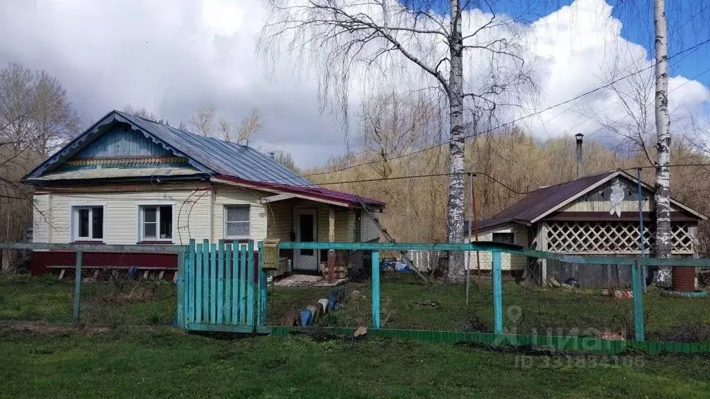 Дом в Нижегородская область, Лукояновский муниципальный округ, с. ... - Фото 1