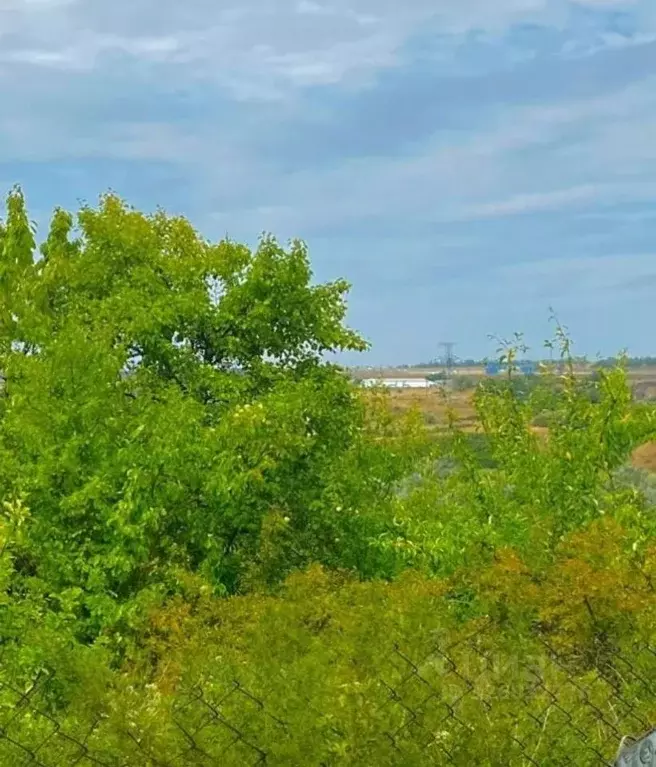 Участок в Ростовская область, Неклиновский район, с. Синявское, ... - Фото 1