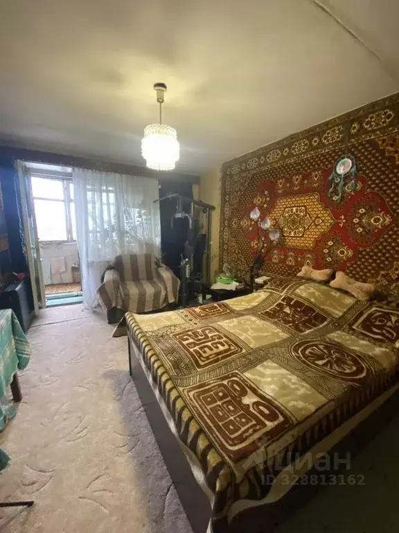 3-к кв. Нижегородская область, Бор ул. Пушкина, 51 (64.6 м) - Фото 2