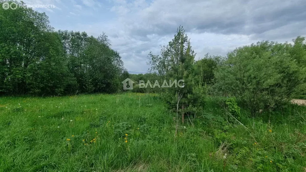 Участок в Вологодский муниципальный округ, СТ Ручеёк-91 (7.6 м) - Фото 0