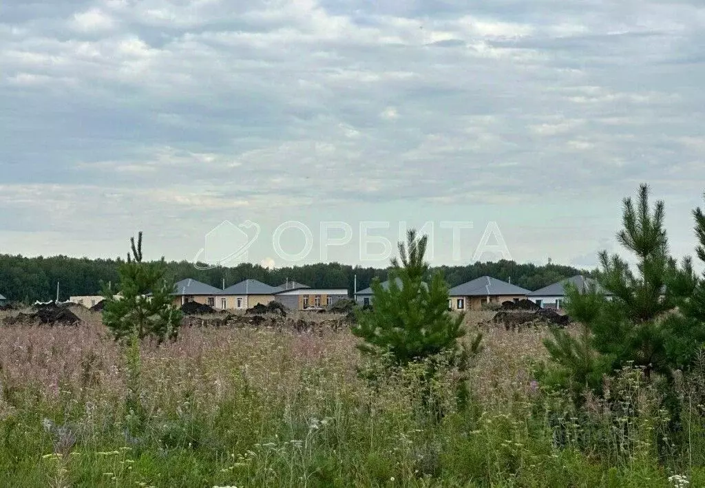 Участок в Тюменская область, Тюменский район, д. Елань 14 (11.1 сот.) - Фото 1