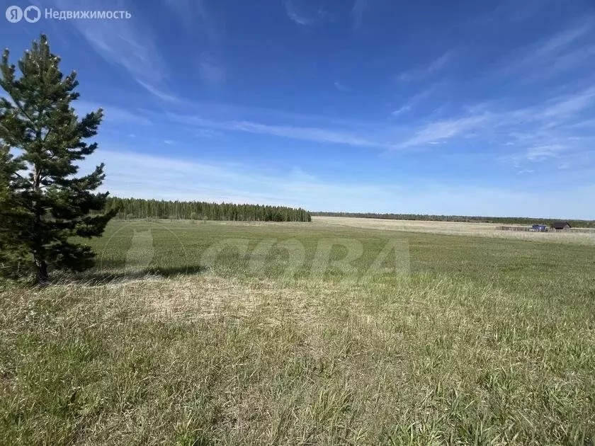 Участок в Нижнетавдинский район, деревня Штакульская (10 м) - Фото 1