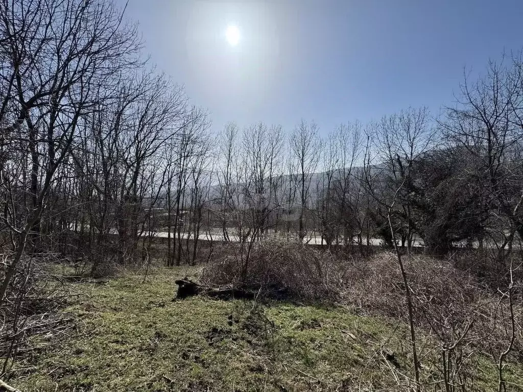 Участок в Крым, Алушта городской округ, с. Лучистое  (176.0 сот.) - Фото 1