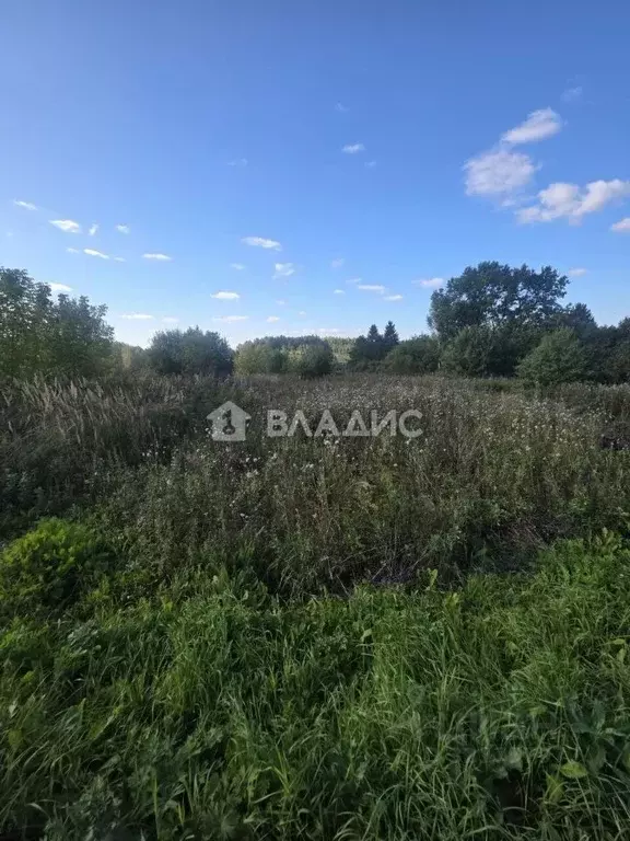 Участок в Владимирская область, Суздальский район, Новоалександровское ... - Фото 1
